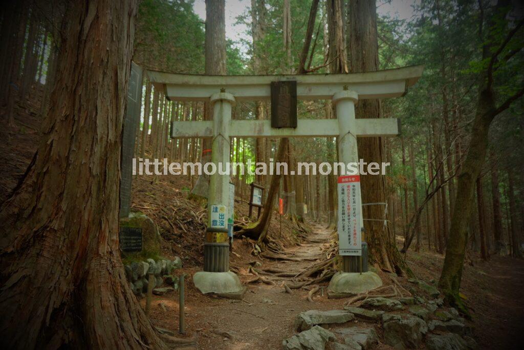 三峯神社奥宮まで！杉の木立の参道を登る