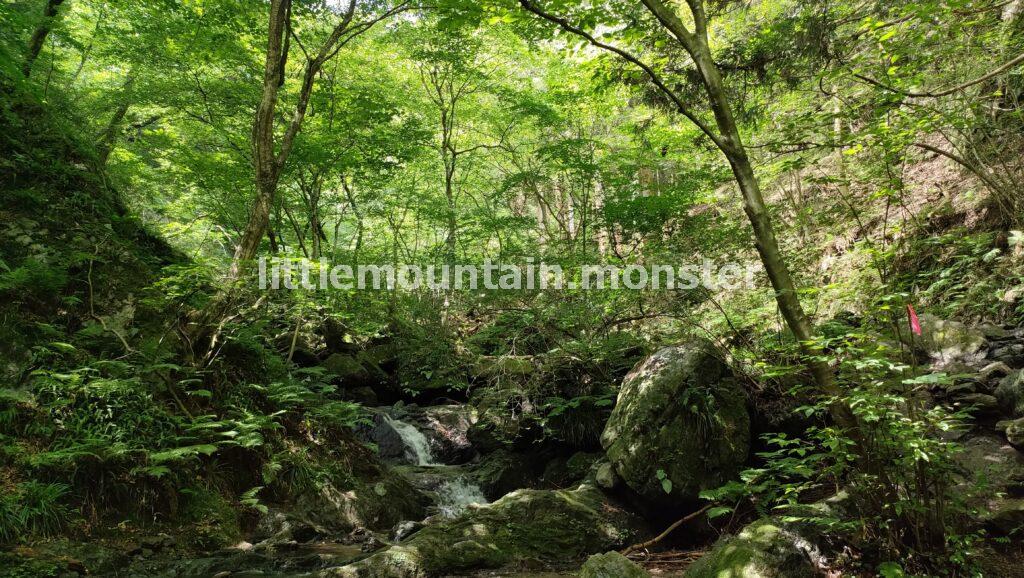 棒ノ折山（棒ノ嶺）と言えば、沢登り！登山初心者も楽しめる