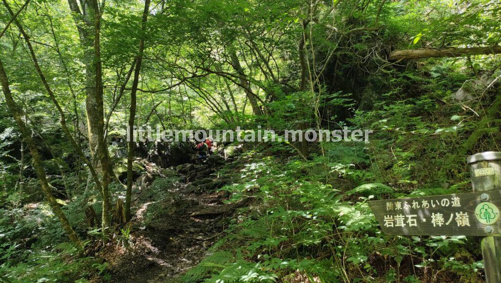 棒ノ折山（棒ノ嶺）と言えば、沢登り！登山初心者も楽しめる