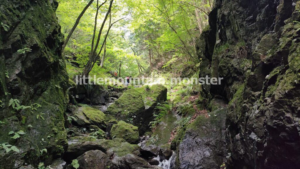 棒ノ折山（棒ノ嶺）と言えば、沢登り！登山初心者も楽しめる