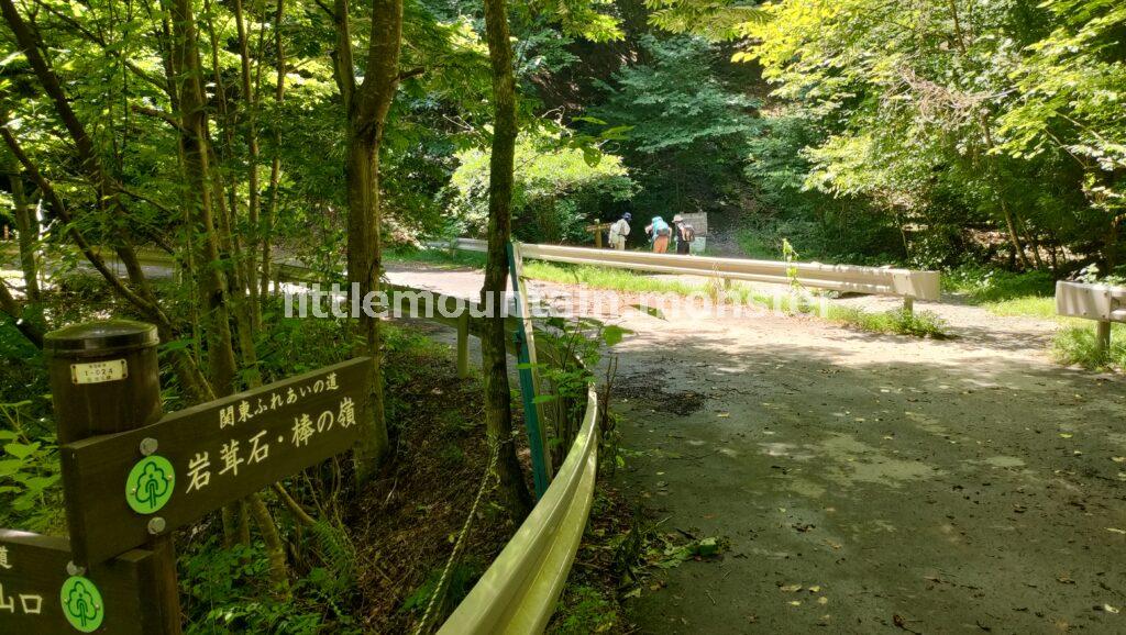 棒ノ折山（棒ノ嶺）と言えば、沢登り！登山初心者も楽しめる