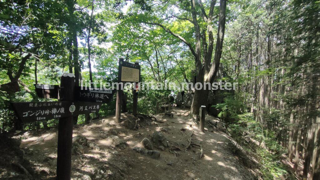 ゴンジリ峠を通過して下山