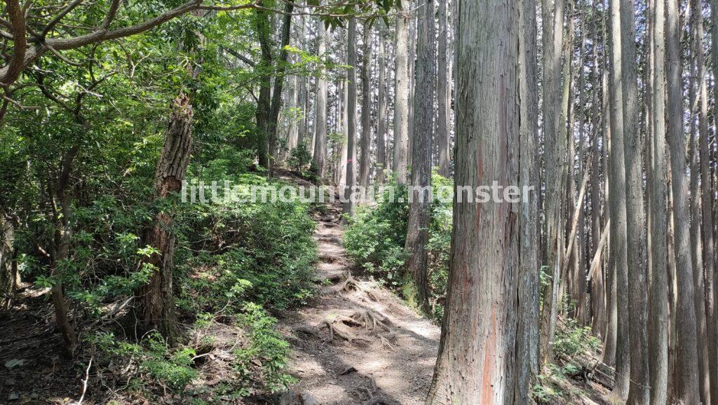 ゴンジリ峠を通過して下山