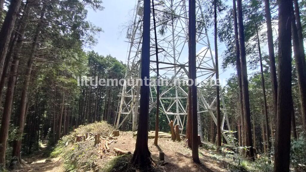 さほど物の見えない「物見山（375m）」でひと休み