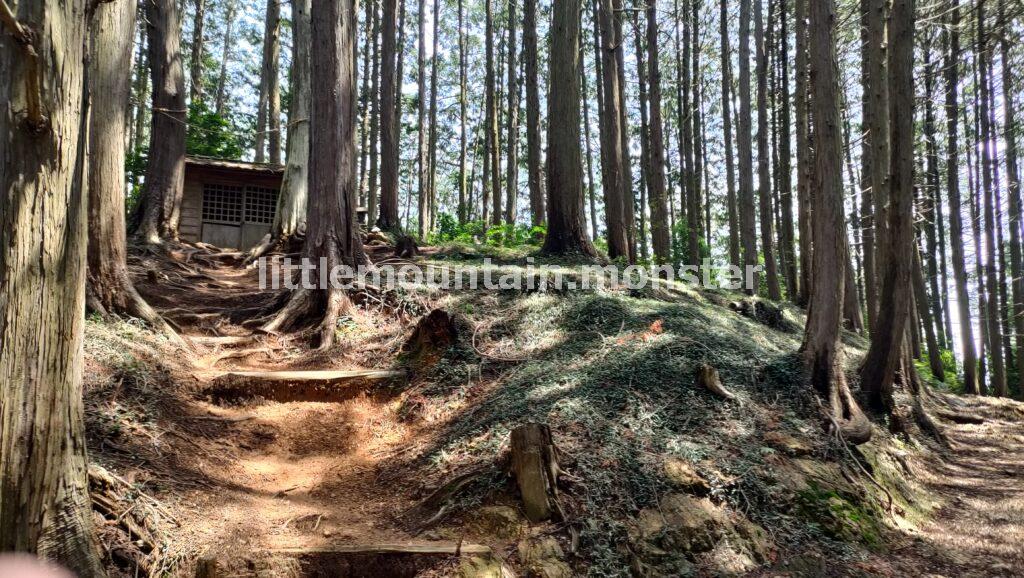 さほど物の見えない「物見山（375m）」でひと休み