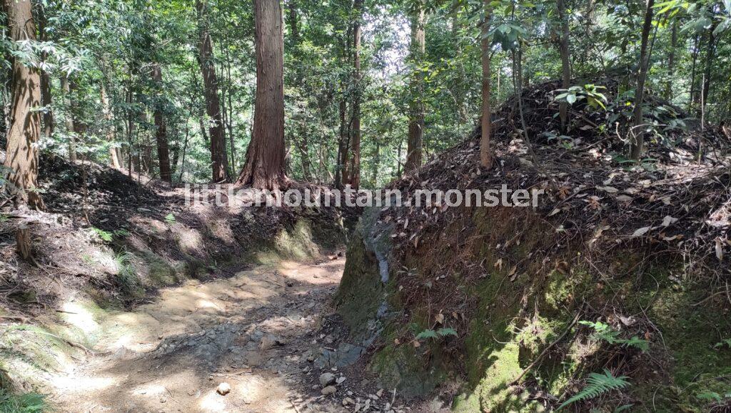 日和田山頂上（302m）を目指して、登山道を行く