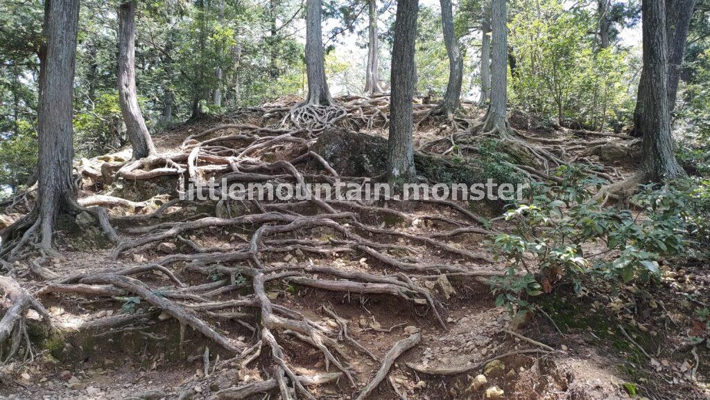 日和田山頂上（302m）を目指して、登山道を行く