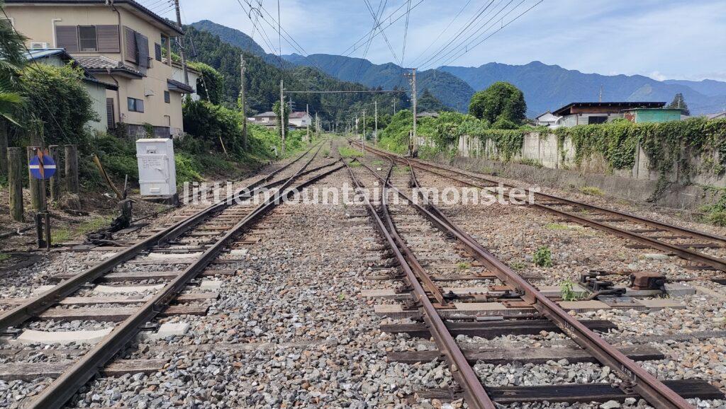 秩父鉄道・影森駅を出発。御花畑駅と反対側、浦山口駅へ歩き、踏切を渡ろうとしたら…