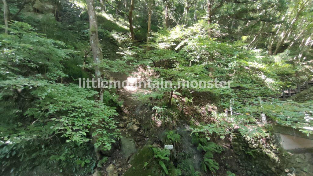 ここで掘られた！和銅採掘露天掘跡