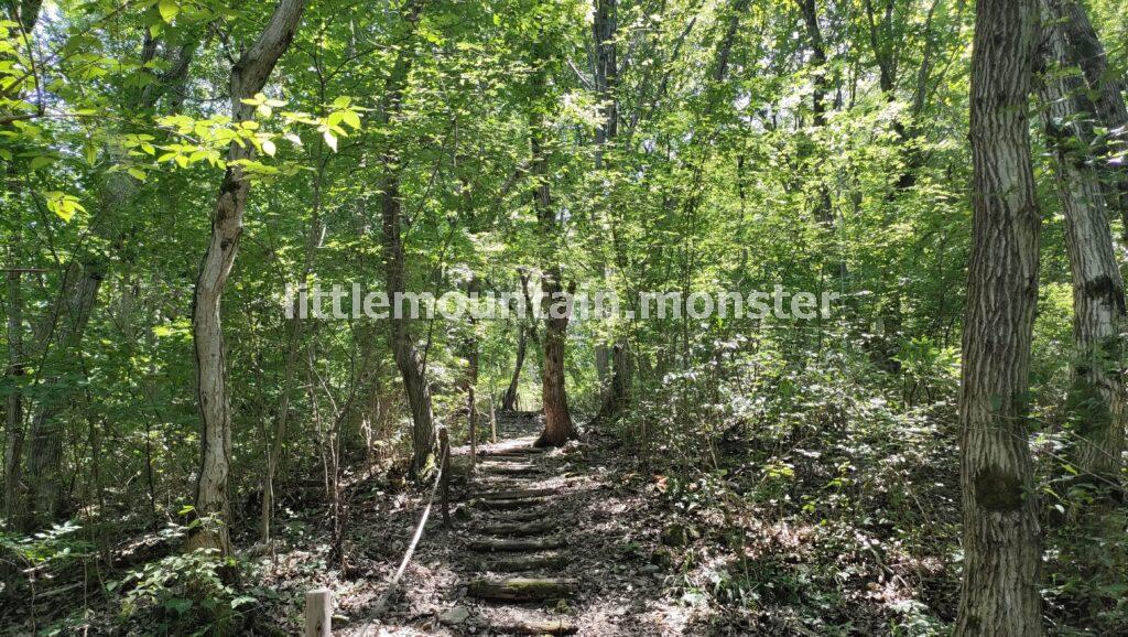 稲穂山の遊歩道を登山！