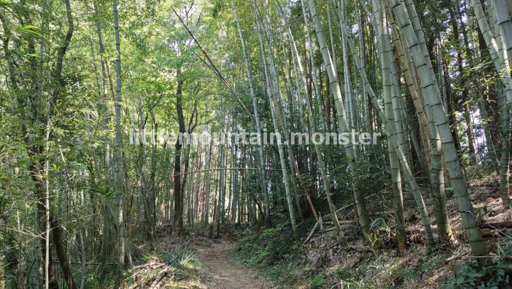 北向不動で、土地の記憶に思いを馳せる