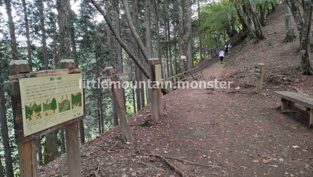 【10:11】妙法ヶ岳分岐点