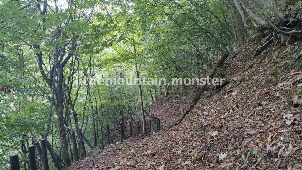 大陽寺まで30分！ピンテを見失い道に迷う