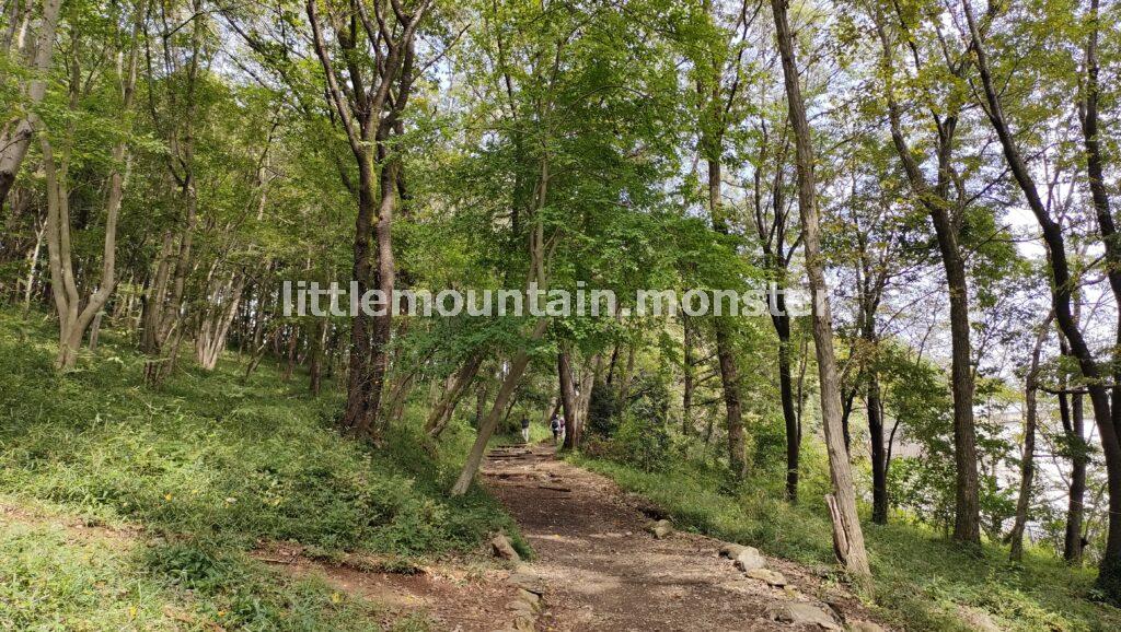 巾着田から日和田山へ！登山（ハイキング）コースは、男坂を登る