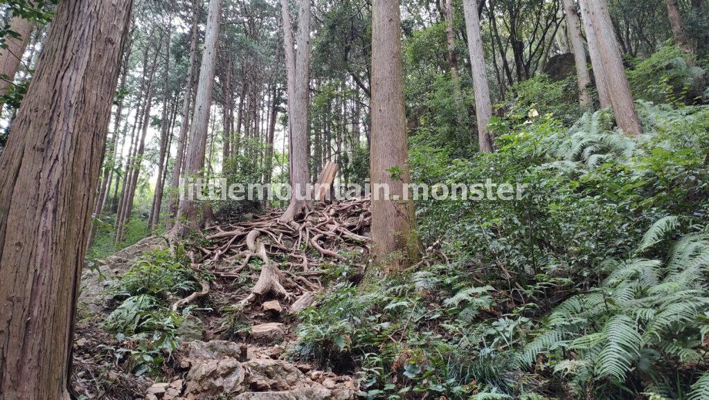 一の鳥居から【男坂】で二の鳥居：金刀比羅（ことひら）神社を目指す