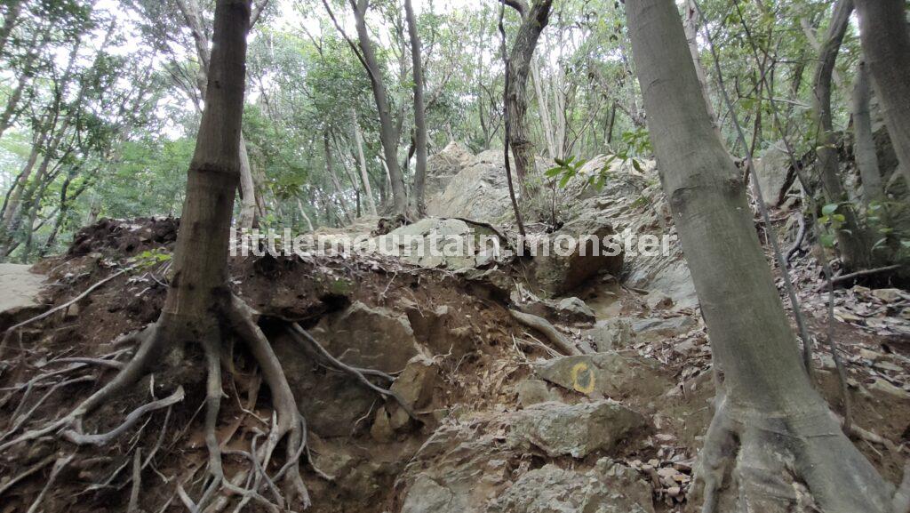 一の鳥居から【男坂】で二の鳥居：金刀比羅（ことひら）神社を目指す