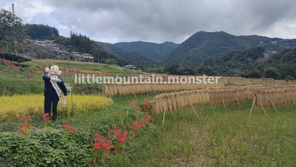 横瀬（よこぜ）の寺坂棚田で、曼殊沙華（彼岸花）咲く里山を堪能