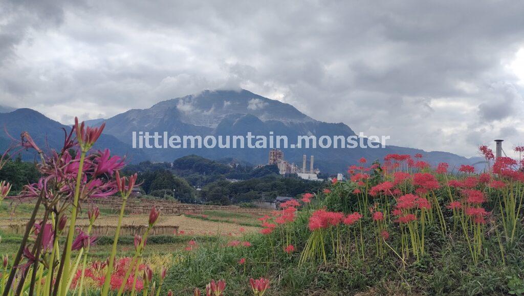 横瀬（よこぜ）の寺坂棚田で、曼殊沙華（彼岸花）咲く里山を堪能