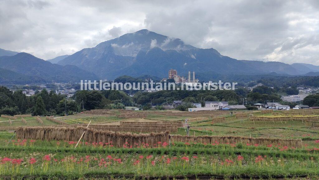 横瀬（よこぜ）の寺坂棚田で、曼殊沙華（彼岸花）咲く里山を堪能