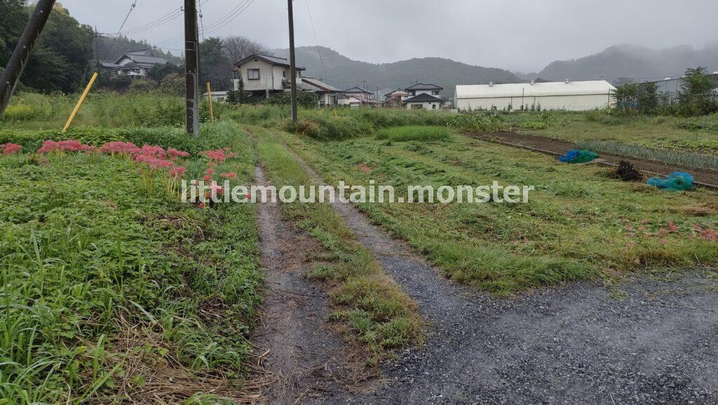 彼岸花の群生地を目指して、小川町駅からサイクリング開始