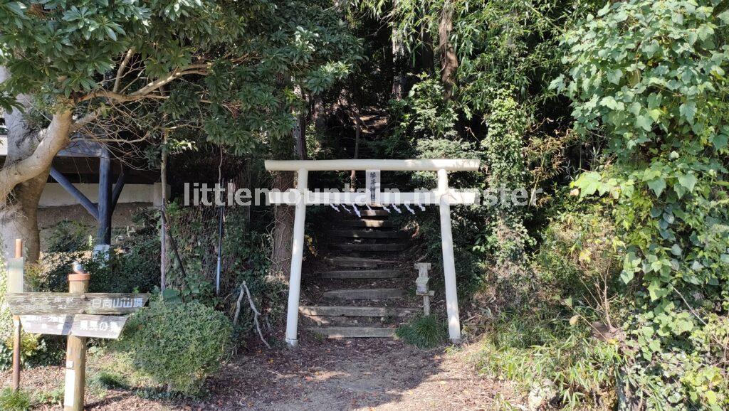 樹木に守られた琴平神社にお参り！