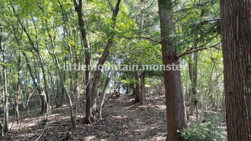 樹木に守られた琴平神社にお参り！