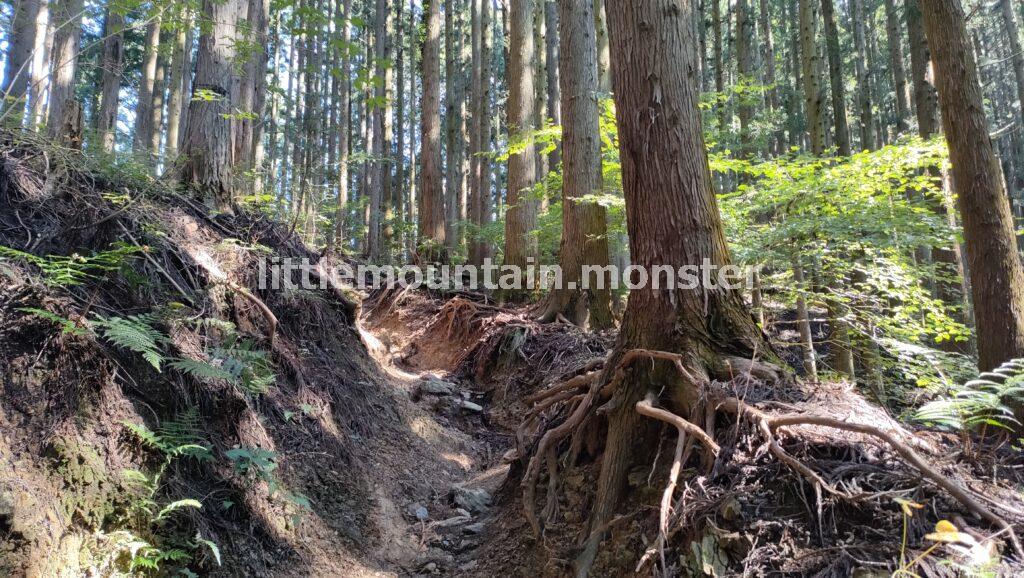 日向山から丸山へ！あと○kmが分からなくても、先に進め