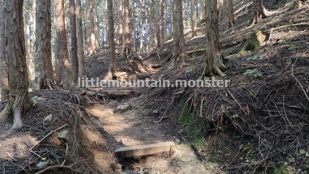 日向山から丸山へ！あと○kmが分からなくても、先に進め