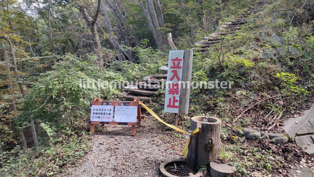 日向山から丸山へ！あと○kmが分からなくても、先に進め