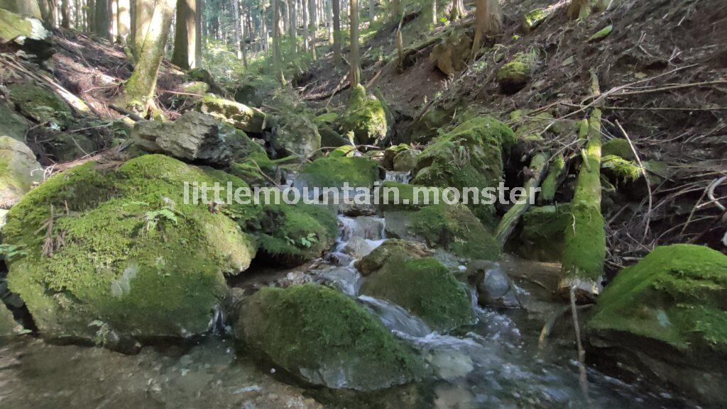 【13:53】苔が輝く川（沢）にでました！しばらくは小さな沢をくだり、