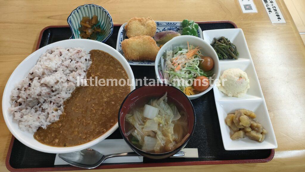 丸山への登山口近く！古民家をリノベした味処やしきさん自家栽培野菜ランチ