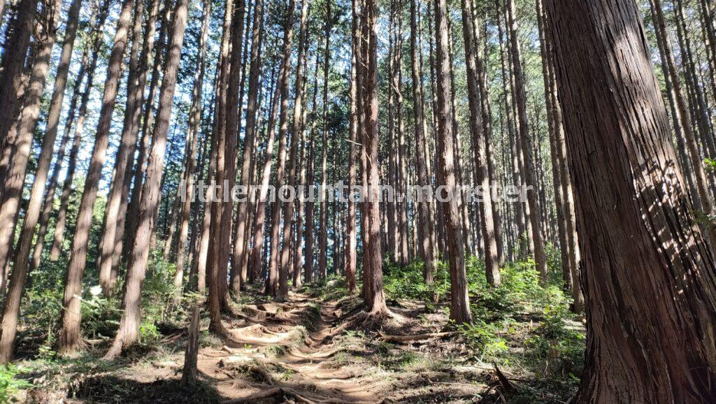 久須美山（260m）で祠に手を合わせる