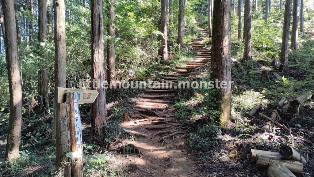 多峯主山への途中でコンクリの道にでて、再び山道にはいるよ