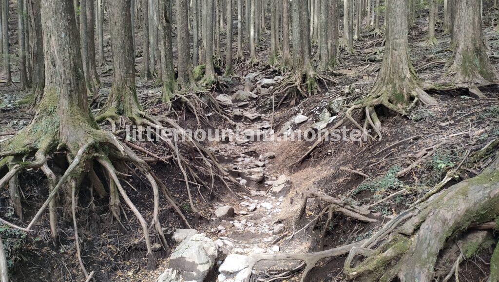 「一の鳥居」から御嶽神社の表参道コースで武甲山の山頂を目指す