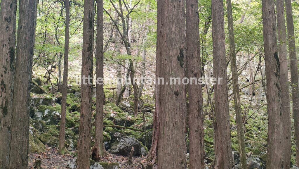 「一の鳥居」から御嶽神社の表参道コースで武甲山の山頂を目指す