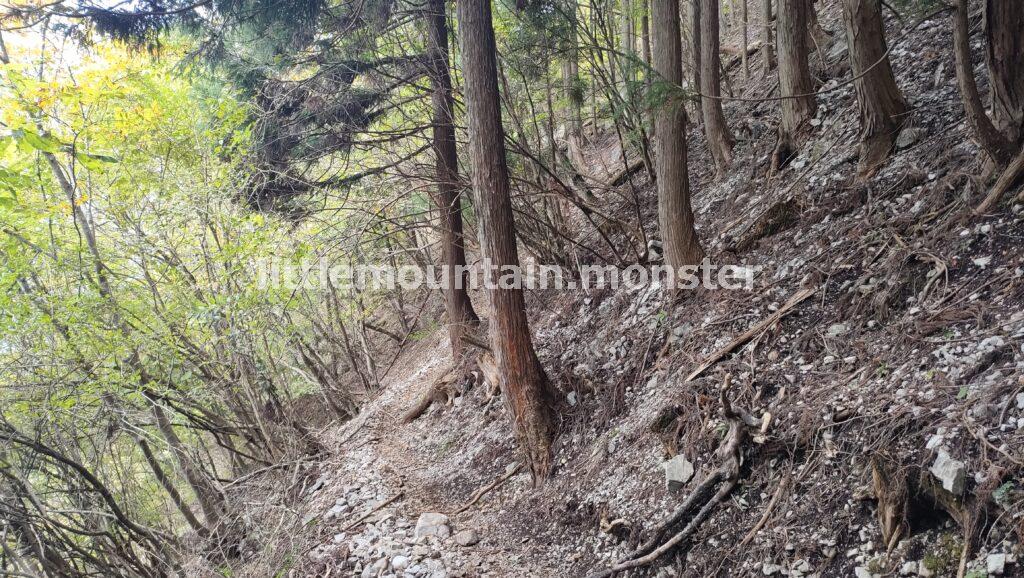 武甲山から下山！橋立コースで浦山口駅を目指す