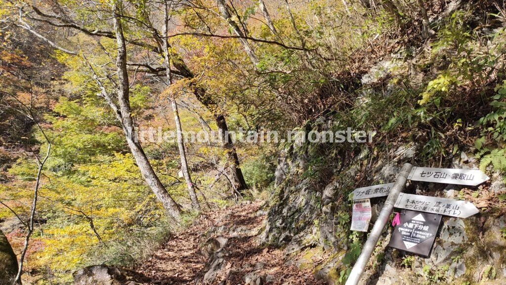 小屋下分岐点｜雲取山に鴨沢→三峯神社の登山ルートで縦走（1泊2日）雲取山荘泊