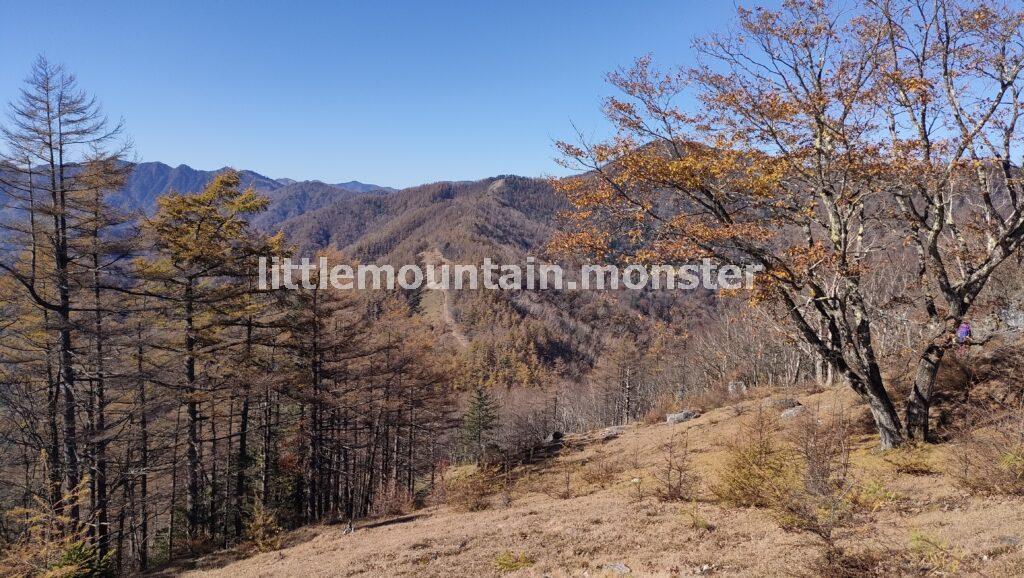 七ツ石山の山頂｜雲取山に鴨沢→三峯神社の登山ルートで縦走（1泊2日）雲取山荘泊