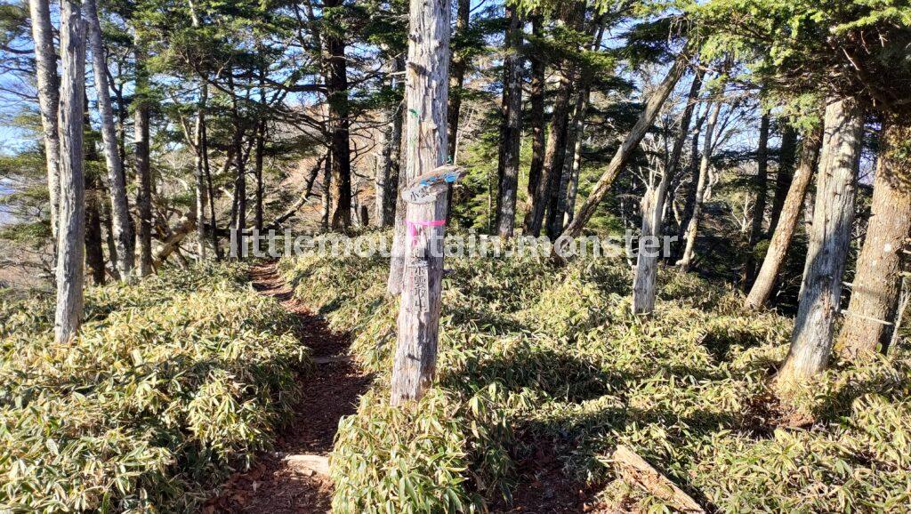 小雲取山｜雲取山に鴨沢→三峯神社の登山ルートで縦走（1泊2日）雲取山荘泊