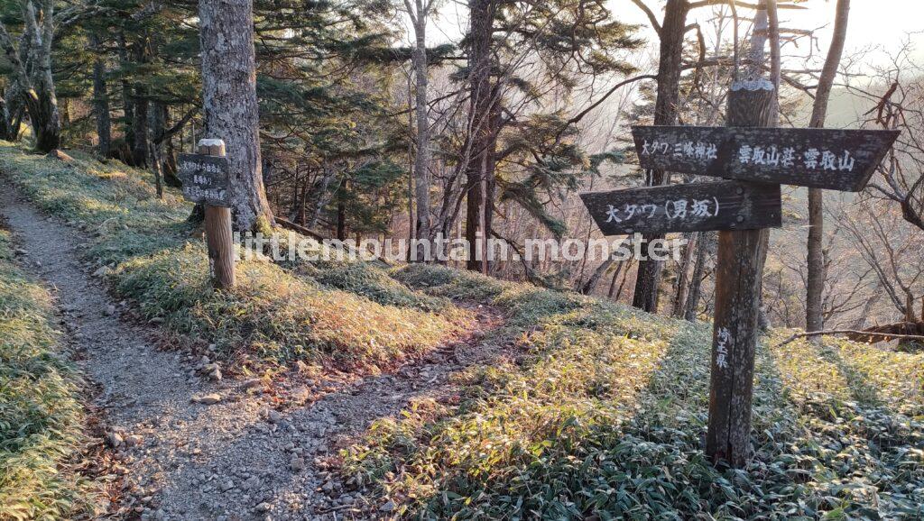 三峯神社を目指して、植林の中をたんたんと下山