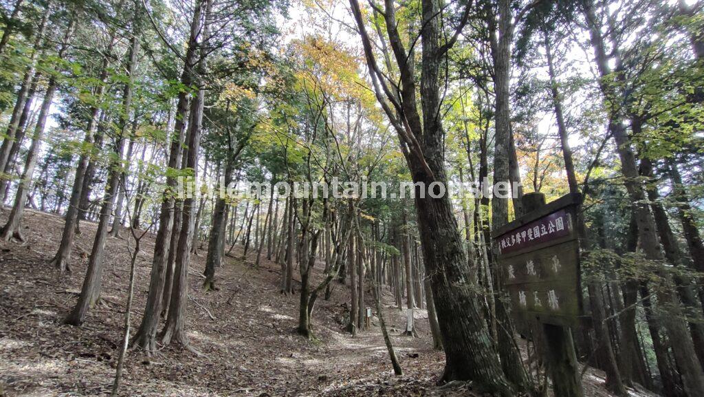 炭窯跡のある「炭焼平」｜雲取山　三峰ルート