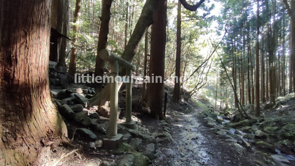 小さめな沢登りや川渡りを繰り返し、正丸峠を目指す｜伊豆ヶ岳を5時間で登山したよ