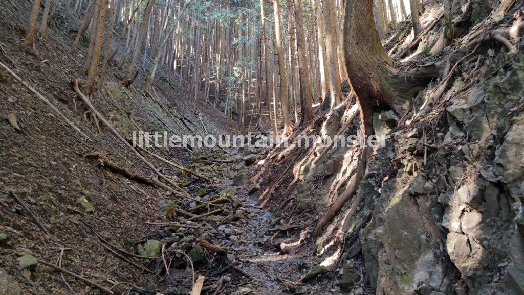 小さめな沢登りや川渡りを繰り返し、正丸峠を目指す｜伊豆ヶ岳を5時間で登山したよ