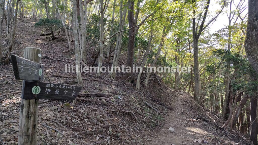 伊豆ヶ岳の道案内に従い、頂上を目指す｜伊豆ヶ岳を5時間で登山したよ