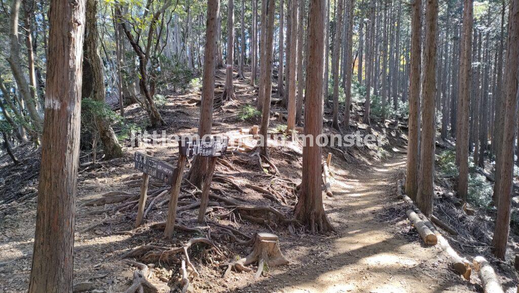 伊豆ヶ岳の道案内に従い、頂上を目指す｜伊豆ヶ岳を5時間で登山したよ