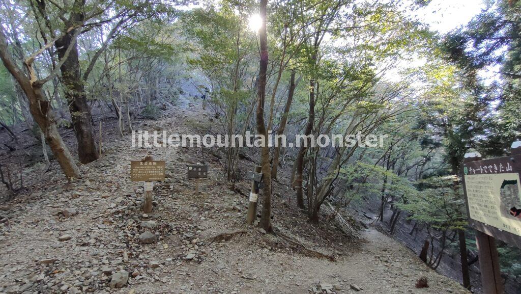 伊豆ヶ岳の道案内に従い、頂上を目指す｜伊豆ヶ岳を5時間で登山したよ