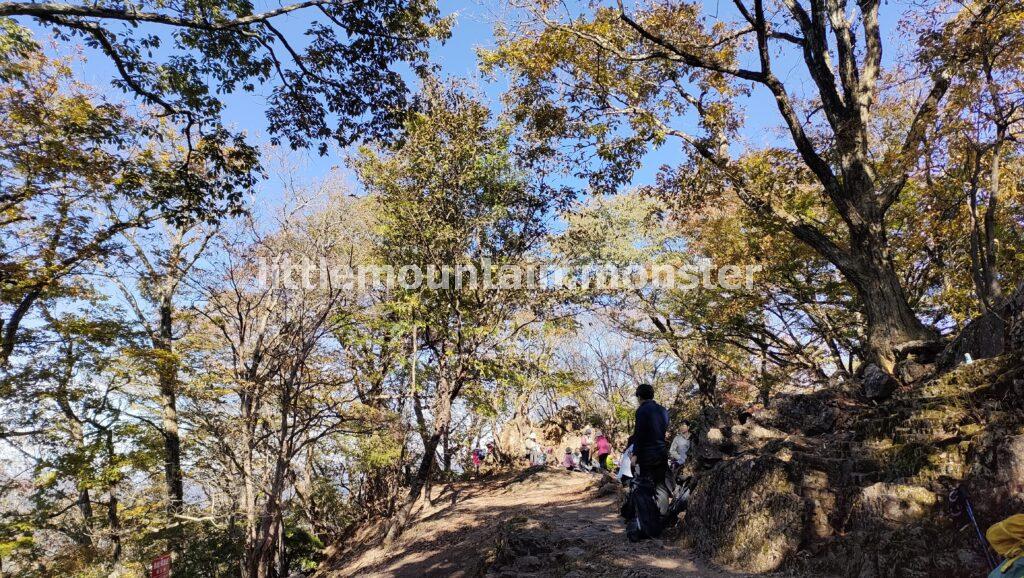 伊豆ヶ岳（851m）山頂｜伊豆ヶ岳を5時間で登山したよ