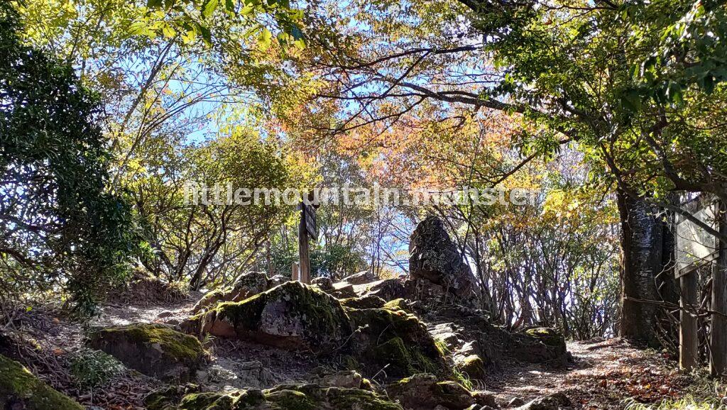 伊豆ヶ岳（851m）山頂｜伊豆ヶ岳を5時間で登山したよ