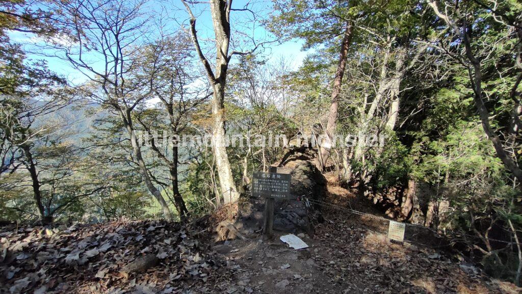 伊豆ヶ岳の道案内に従い、頂上を目指す｜伊豆ヶ岳を5時間で登山したよ