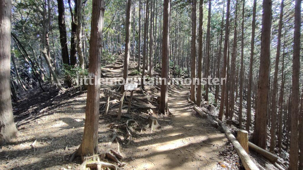 長岩峠まで戻り正丸駅方面へ｜伊豆ヶ岳を5時間で登山したよ